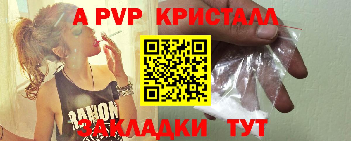 Альфа ПВП СК КРИС Губкин