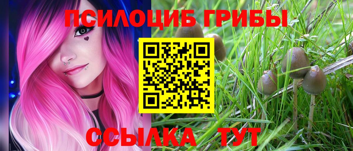 Галлюциногенные грибы MAGIC MUSHROOMS Губкин