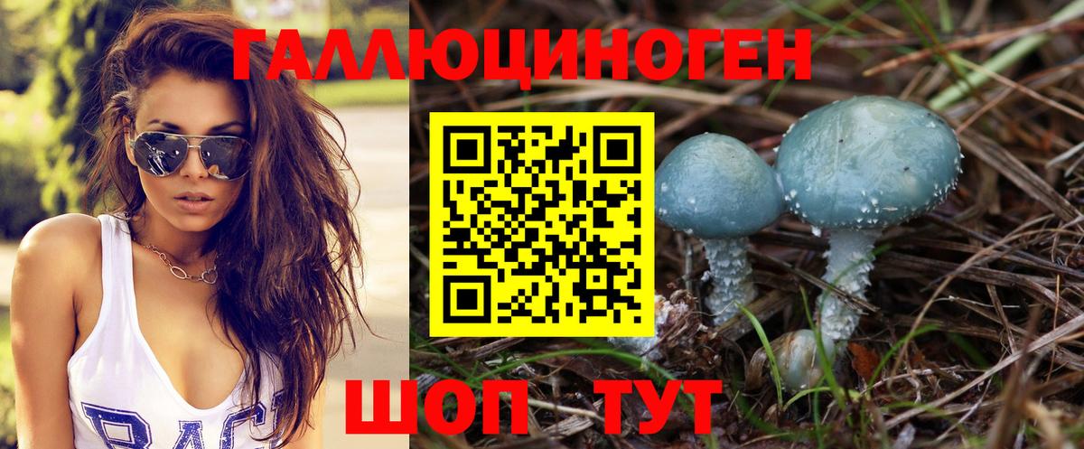 Галлюциногенные грибы MAGIC MUSHROOMS  где продают наркотики  Губкин  Псилоцибиновые грибы GOLDEN TEACHER  Вход с VPN 